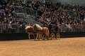 Pferd_Jagd   058